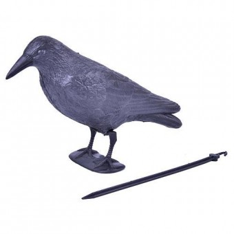 Sperietoare de păsări, Black Raven
