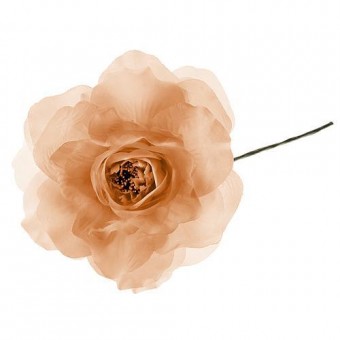 Decor Floare, bujori, auriu, tulpina, pachet. 6 buc