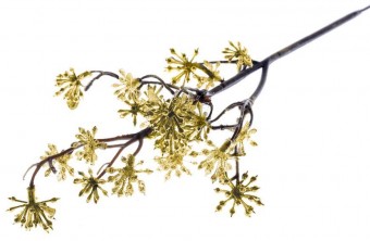 Ramura decorativa Sedum.Aur, 14/30 cm, ambalaj. 3 buc