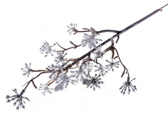 Ramura decorativa Sedum.Argint, 14/30 cm, ambalaj. 3 buc