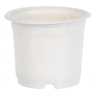 Ghiveci de flori Strend Pro, pentru rasad, rotund 10,5x10,5x8,5 cm