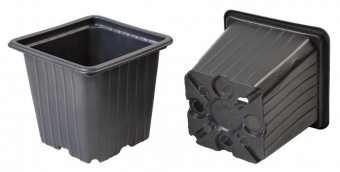 Ghiveci Flori Strend Pro, pentru rasad, pătrat 8x8x7 cm