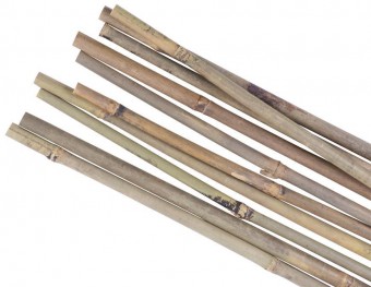 Tarus Garden KBT 0900 / 08-10 mm, 10 buc, bambus, pentru suport plante