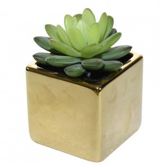 Cactus MagicHome, 10 cm, ghiveci ceramică, auriu