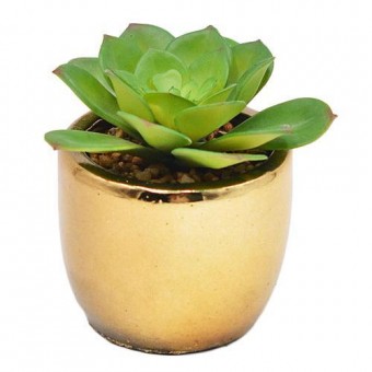 Planta decor MagicHome, 10 cm, oală-ciment, auriu