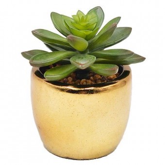 Planta decor MagicHome, 12 cm, oală - ciment, auriu