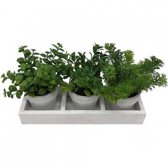 Planta decor amestec ierburi MagicHome, 18 cm, 3buc