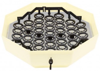 Sistem CLEO IPEE-6, ouă Fazan