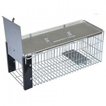 Capcana Pecon RAMOS-401, cusca pentru rozatoare, 40x16 cm