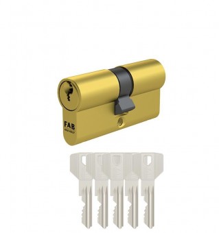 Insertie cilindrica FAB 3.00***/D, 30+35, 5 chei, constructie