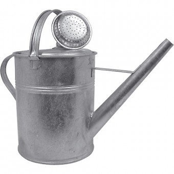Trestie de udare zincata 9 litri + trandafir de udat