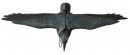 Sperietor de păsări, Corb negru, zburător 80x11x45cm