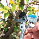 AQUACRAFT® 340310 foarfece, grădină, Power +, tăiat. 18 mm, Alu
