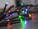 Lumina de Craciun MagicHome Ceibo, 48L LED multicolor, 3xAA, timer, exterior