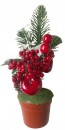 Decorat cu mar, in oala, 25cm, 2buc