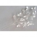 Ramura decorativa MoneyPlant.Alb, 56/107 cm
