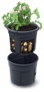 Ghiveci POTATO Grower 392x316 mm, pentru cultivarea cartofilor, antracit