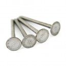 Cuie pentru acoperiș zincate 32x2,5mm, ambalaj. 2,5 kg