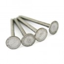 Cuie pentru acoperiș zincate 36x2,5 mm