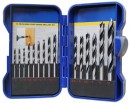 Set de burghie Strend Pro, pentru lemn, pachet. 15 buc