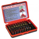 Set biți 41 buc Strend Pro, cu suport magnetic pentru biți, bit 25 mm, S2