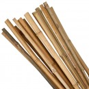 Treapta tarus KBT 0450 / 06-08 mm, 10 bucati, bambus