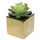 Cactus MagicHome, 10 cm, ghiveci ceramică, auriu