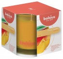 Lumanare bolsius Borcan True Scents 95/95 mm, mango