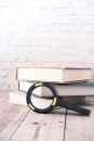 Lampa Strend Pro, cu lupa, 100 lm, 113x242x22 mm, 2xAA, sellbox 15 buc.