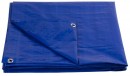 Prelata 80 g/m 10x12m Strend Pro, albastra