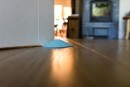 DOORSTOPPER opritor usa, opritor, opritor usa plastic, opritor usa podea, mix de culori, sellbox 24 buc.